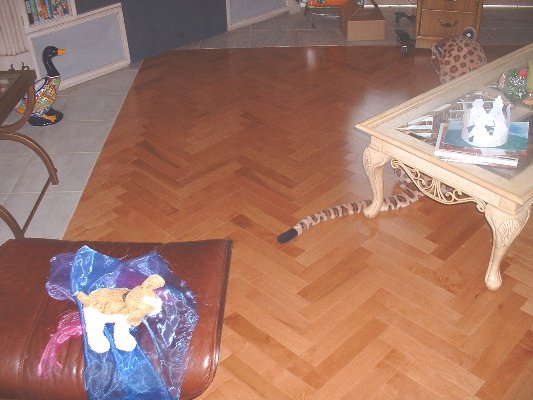 Herringbone pattern floor